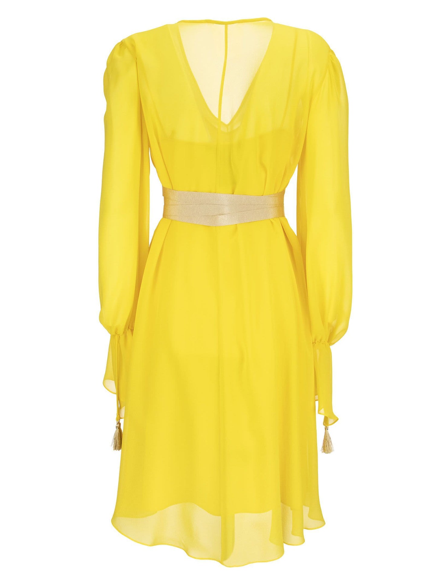 Max Mara Demien Silk Charmeuse Dress